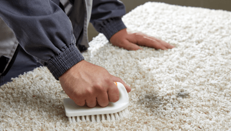 Professional Rug Cleaning Humevale